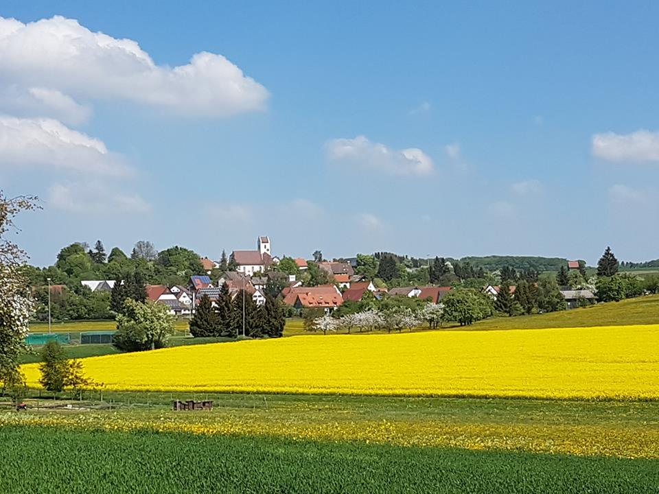 Frühlingserwachen im Haus Mohnblume