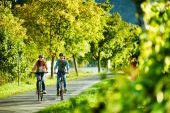 Wissen am Wegesrand: Neue Audiotour am Mosel-Radweg