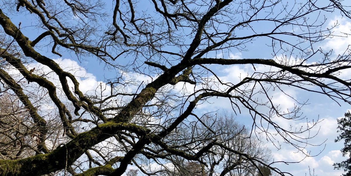 Gartenbau Stuttgart übernimmt Grabpflege