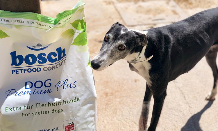 Fünf Lkw mit Futterspenden für ausrangierte Jagdhunde