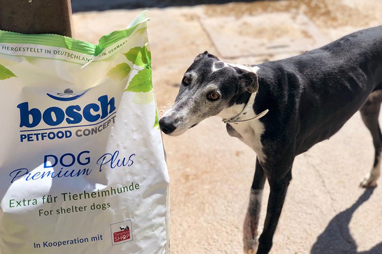 Fünf Lkw mit Futterspenden für ausrangierte Jagdhunde