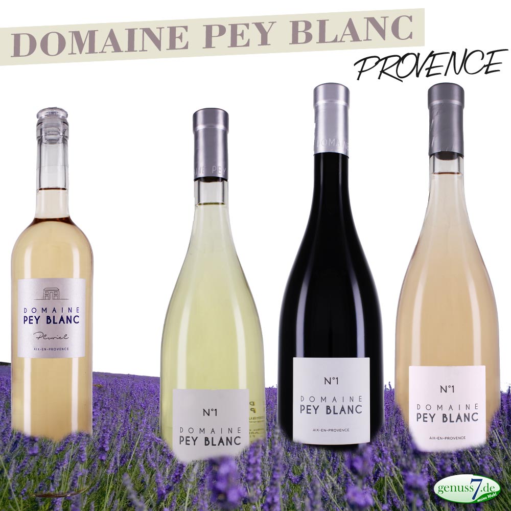 Domaine Pey Blanc Weine aus der Provence