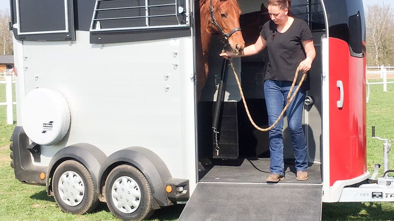 Pferdeanhängertest Ifor Williams HBX 511 auf Mit-Pferden-reisen.de