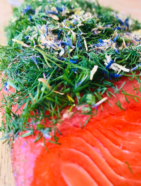 Neuentwicklung von Graved (gebeizte) Lachsforellen