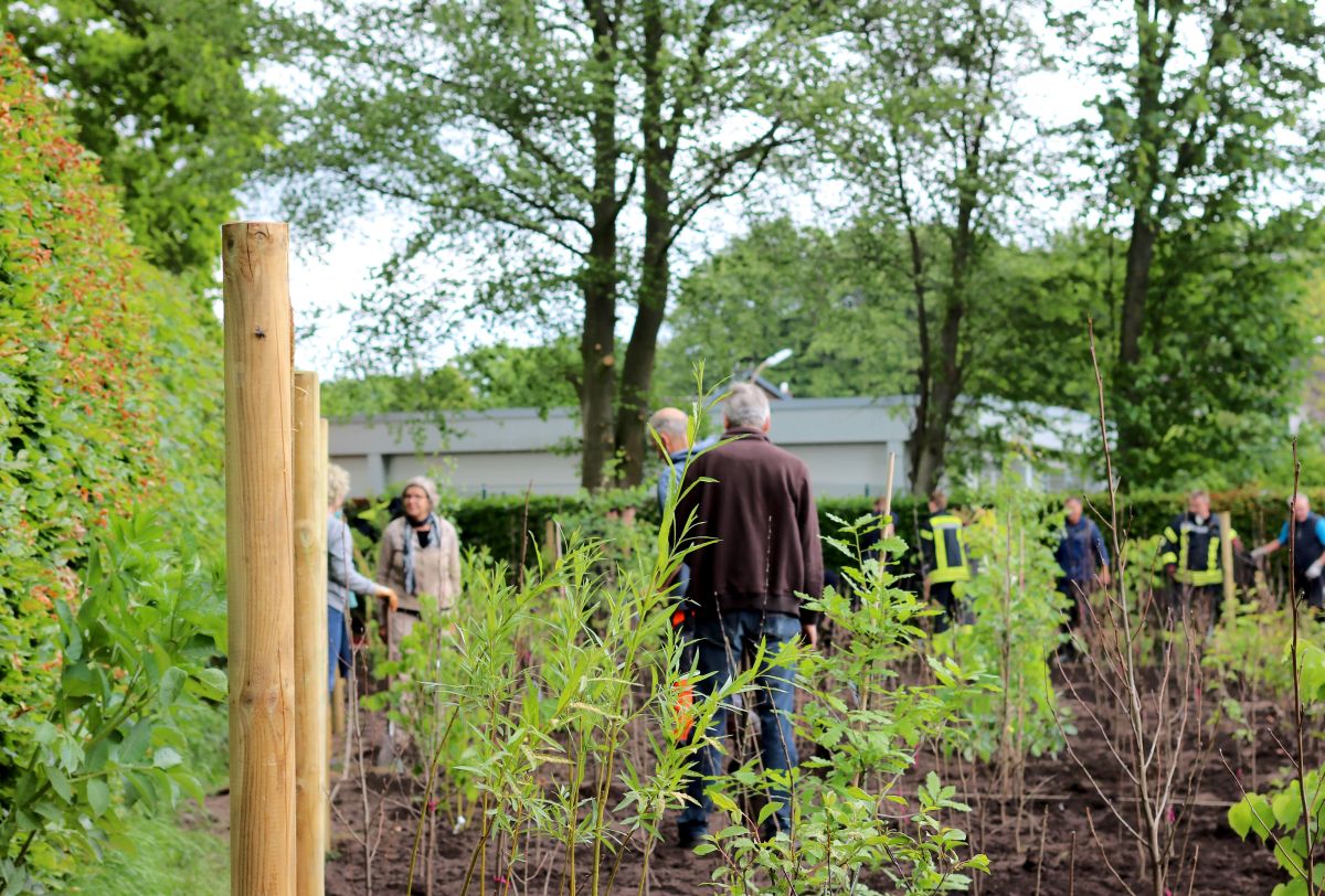 Bönningstedter Bürger forsten auf