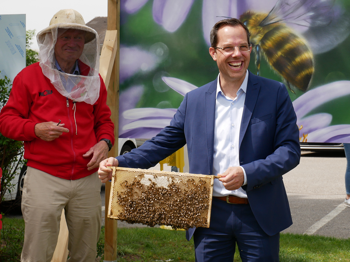 Fleißige Bienchen – Wolf begrüßt rund 60.000 neue geflügelte Mitarbeiter