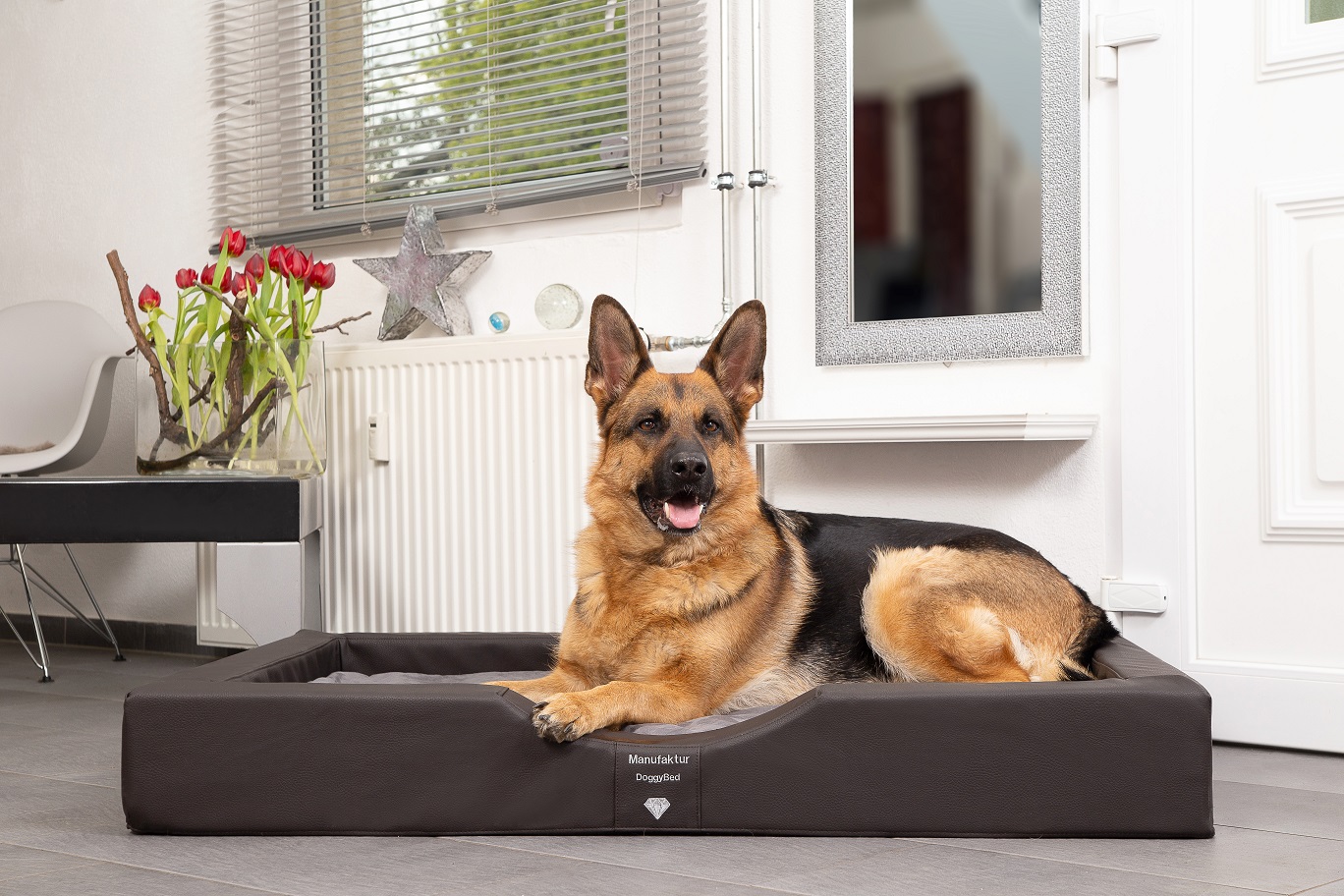 JETZT ENTDECKEN – IHR EXKLUSIVES DOGGYBED®