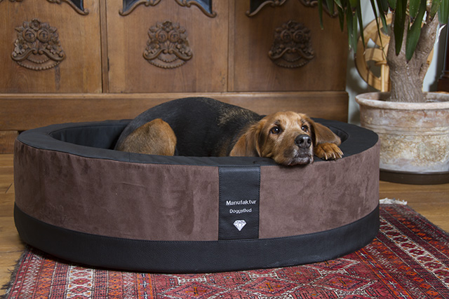 DOGGYBED®, das moderne Hundebett