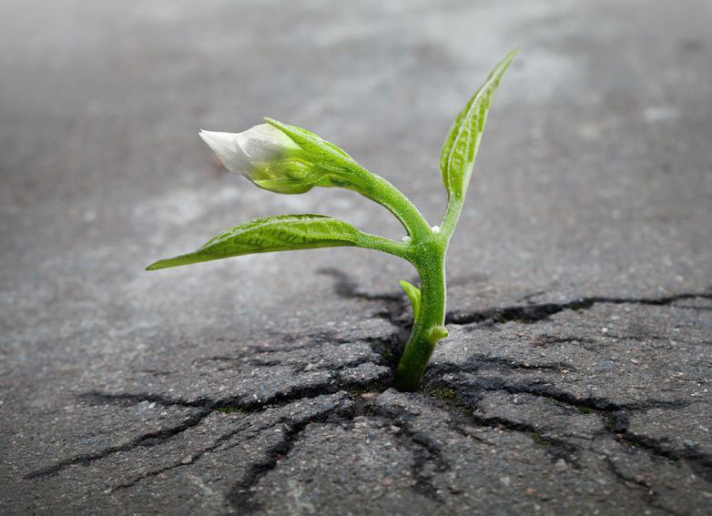 Resilienz ist trainierbar