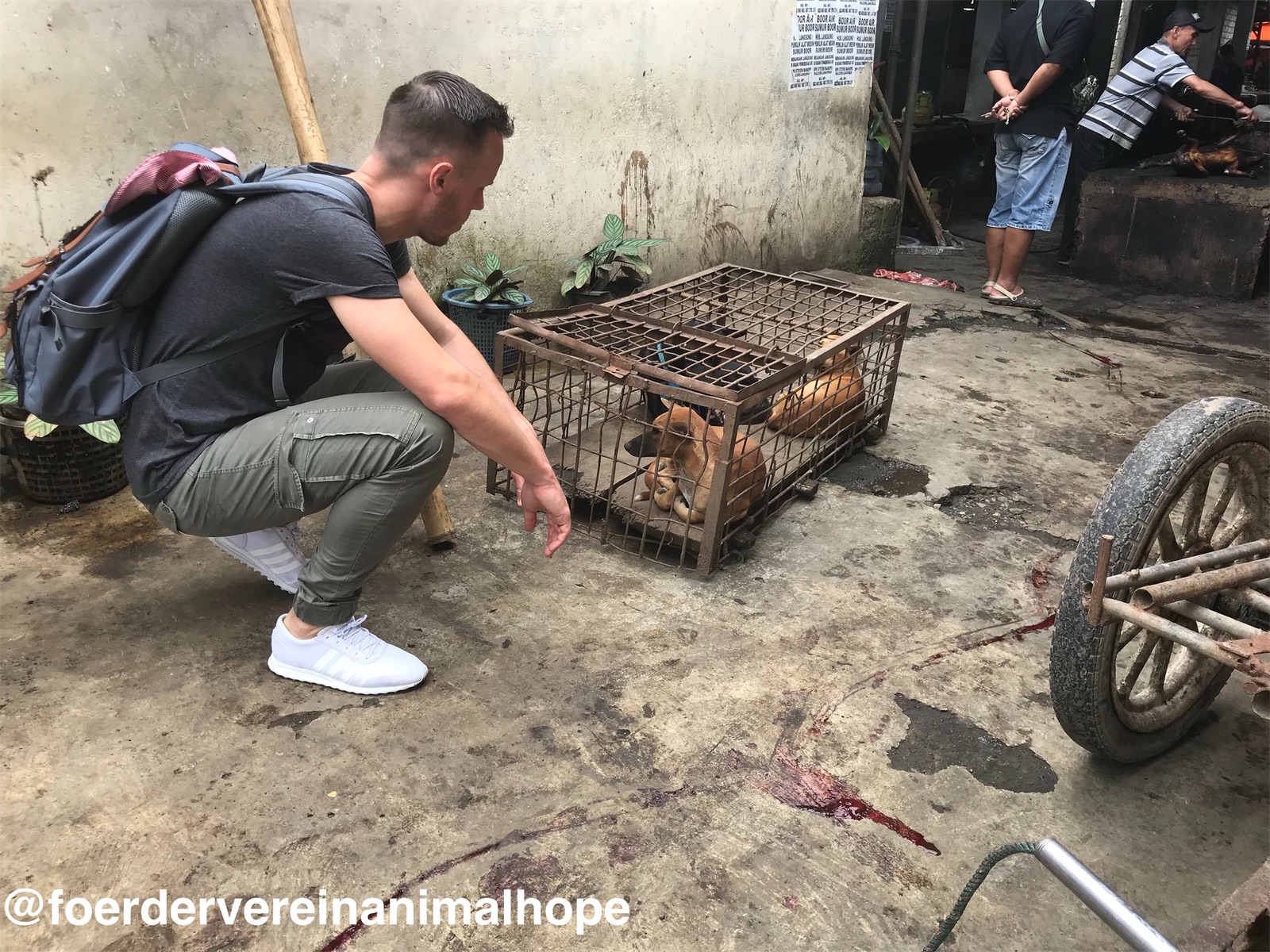 „Wie ein Gang durch die Hölle…“?  – Indonesien: Hunde und Katzen grausam erschlagen und anschließend verbrannt