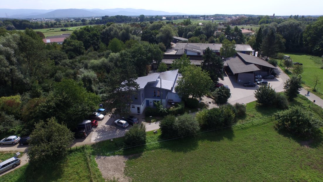 Tierarzt Region Bühl / Achern: Wurmkur ist wichtig