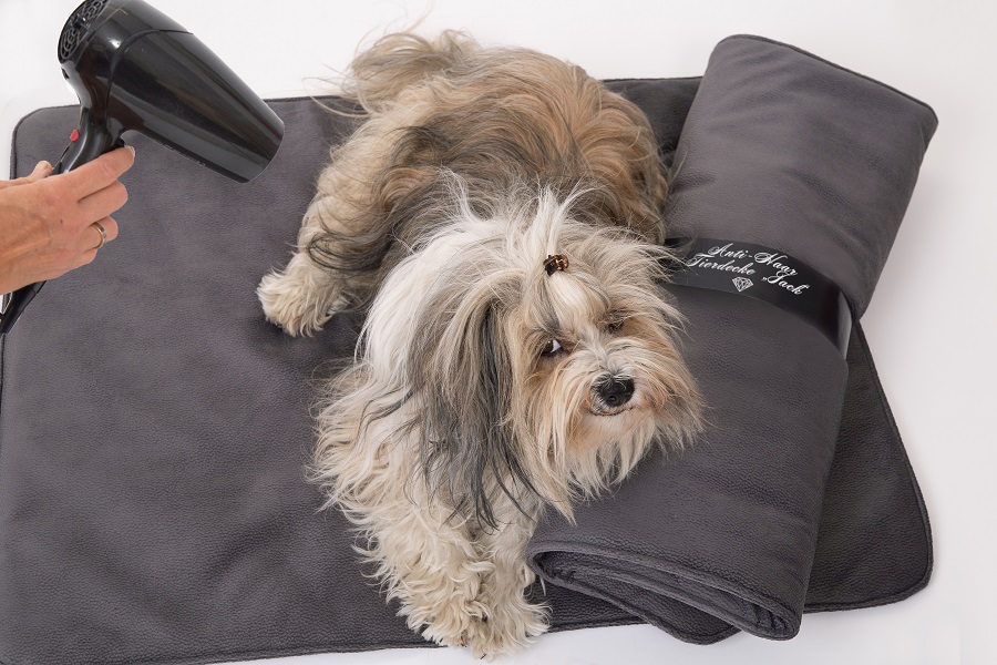 Keine Tierhaare mehr – ist das möglich?