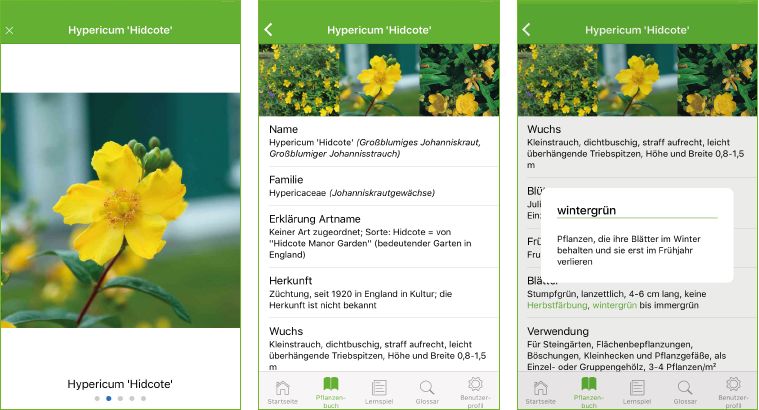 Interaktive Lern-App für Azubis im Garten- und Landschaftsbau