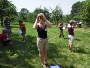 Fruchtsaftverband rechnet mit nur einem Drittel der Vorjahresernte