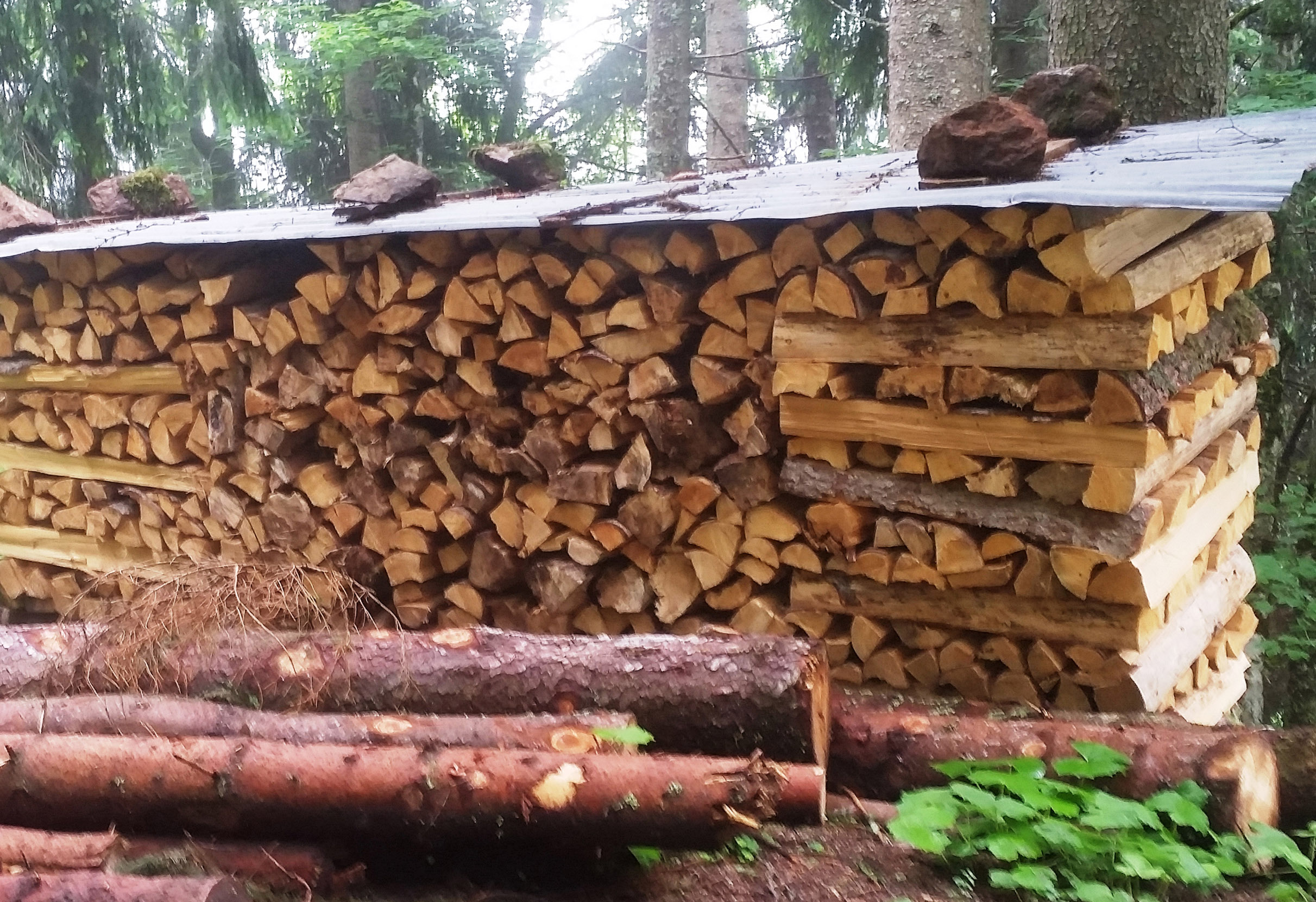 Klimaschutz: Moderne Holzfeuerungen bremsen den Kohlendioxid-Ausstoß