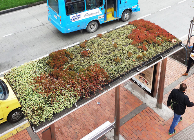 BUNDESVERBAND GEBÄUDEGRÜN BEGRÜSST MASSNAHME ZUR BEGRÜNUNG VON BUSHALTESTELLEN