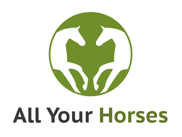 Vom Andalusier bis zum Zweibruecker – Startup startet Online-Pferdeportal