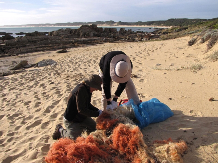 Nachhaltigkeit rund um den Globus