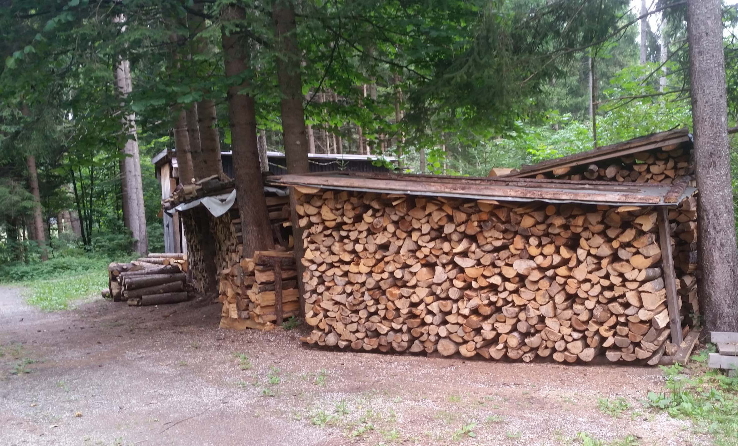 Spannende Fakten: Holz ist die Heizenergie in Zeiten des Klimawandels