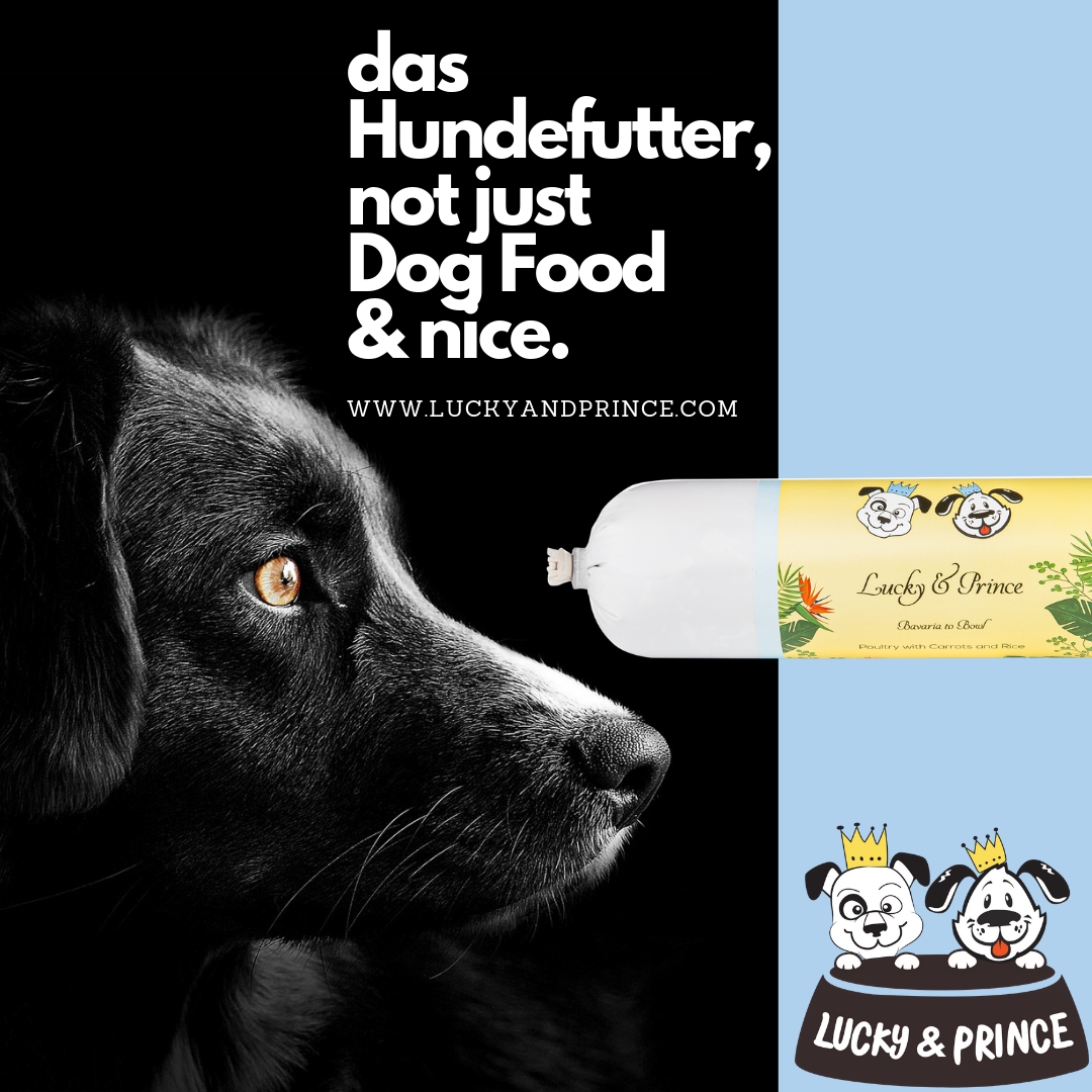 Luck&Prince der „Hit“ im Premium Hundefuttersegment auf dem deutschen Markt