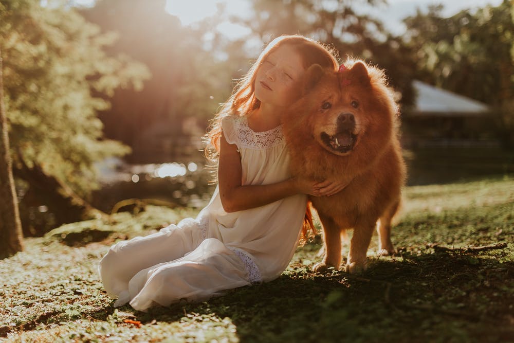 Herbsturlaub & Herbstferien mit Hund 2019: Am Meer, am See oder in den Bergen