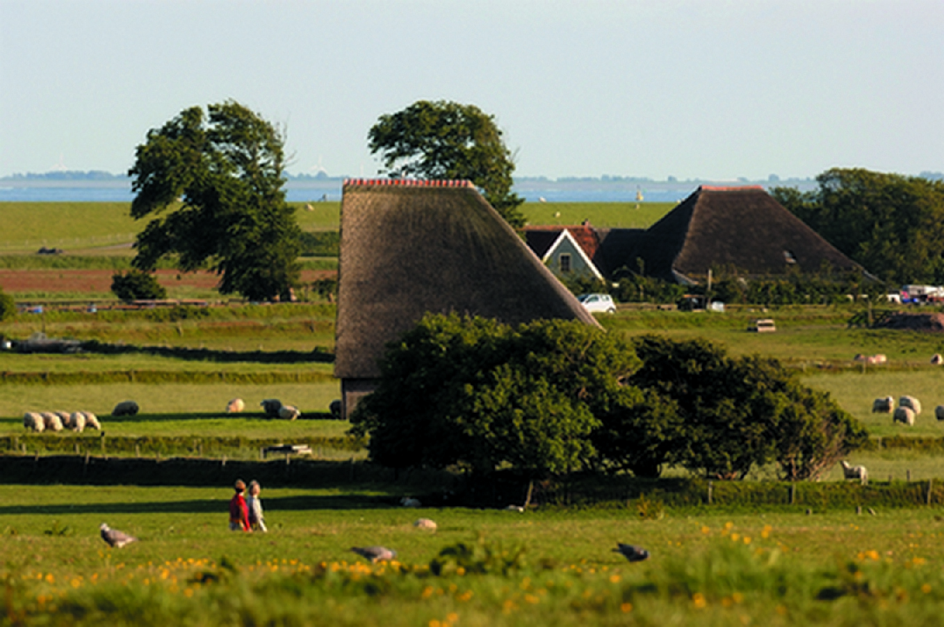 Texels „Hoher Berg“ erhält Auszeichnung