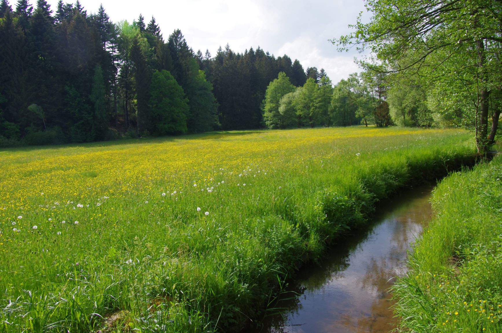 Der Kompromißbach – ein Kompromiss für Frieden und Wachstum