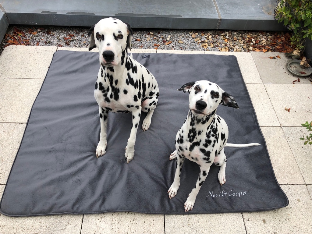 NEU- Anti-Haar Tierdecke für S-XL Hunde+Katzen