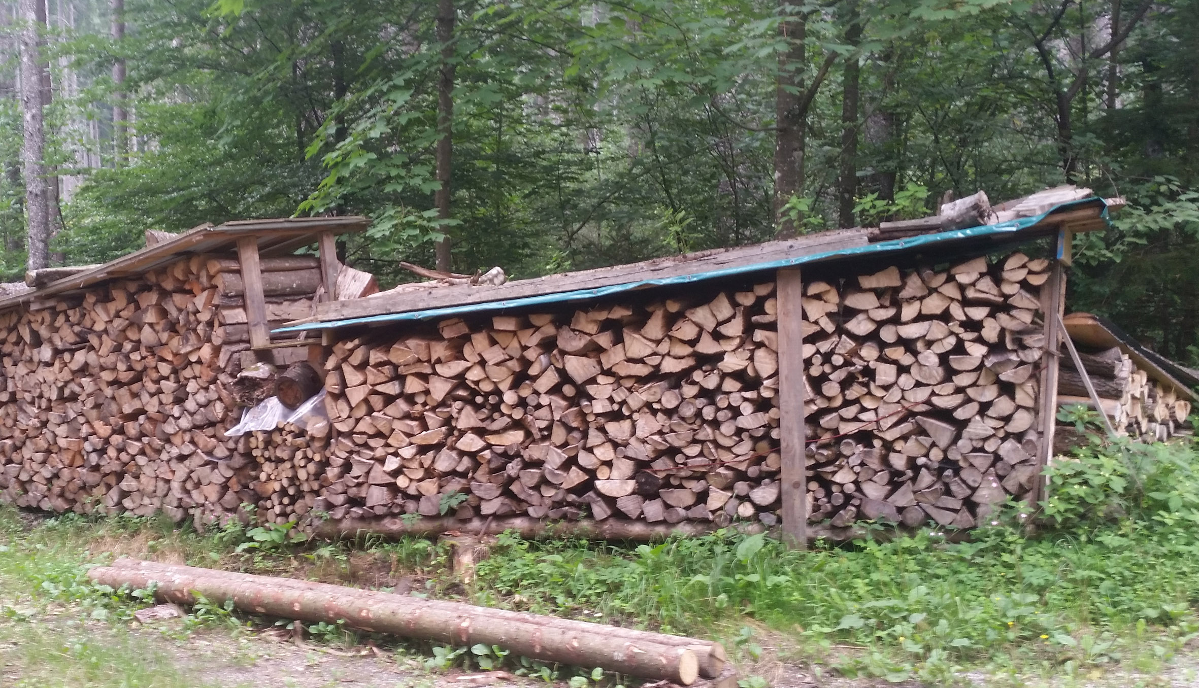 Heizen mit Holz: Die private Wärmewende im Wohnzimmer