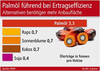 Palmöl führend bei Ertragseffizienz