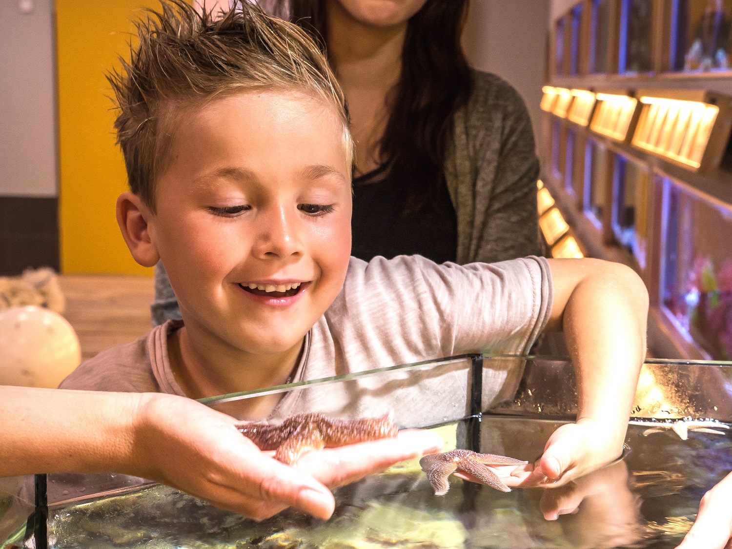 Nordsee-Aquarium begeistert Gäste mit Aufzucht