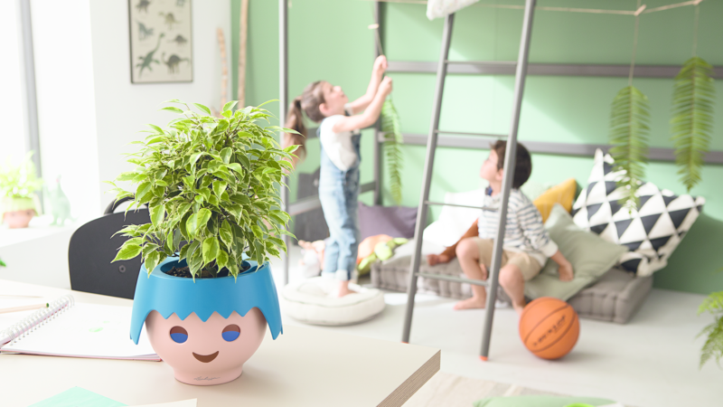 Ausgezeichneter Pflanzenfreund: OJO von LECHUZA ist „Trendprodukt des Jahres