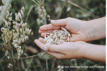 Vom Hunter zum Farmer