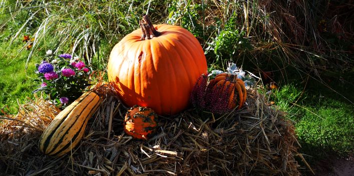 Weissenhäuser Strand: Halloween an der Ostsee