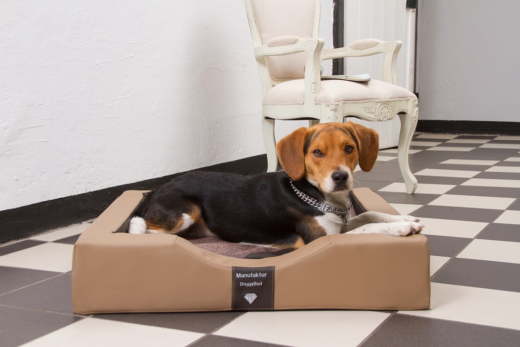 Ein Hundebett der Luxusklasse