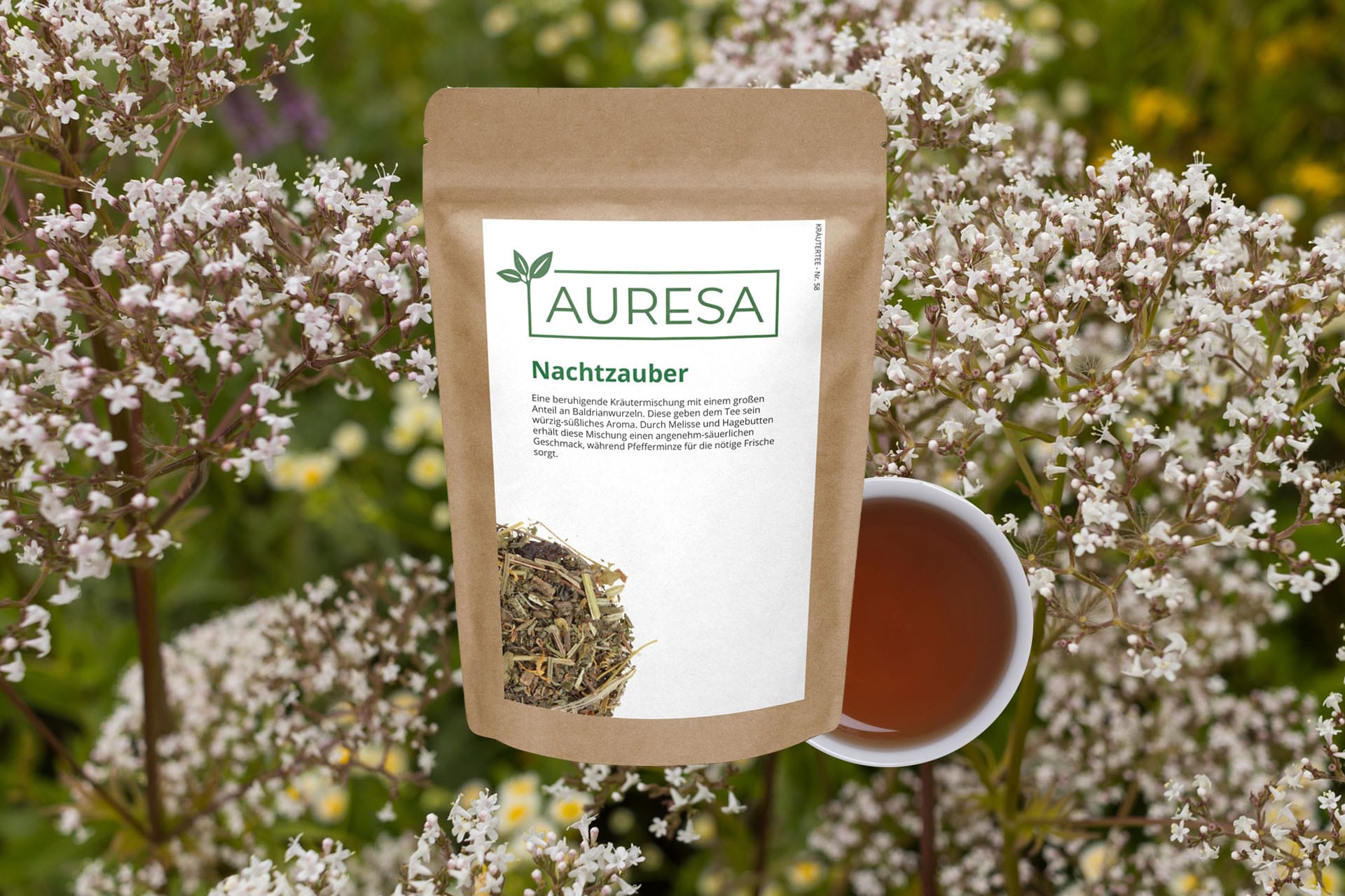 Tee des Monats, wenn die Nächte dunkel werden: Nachtzauber im November