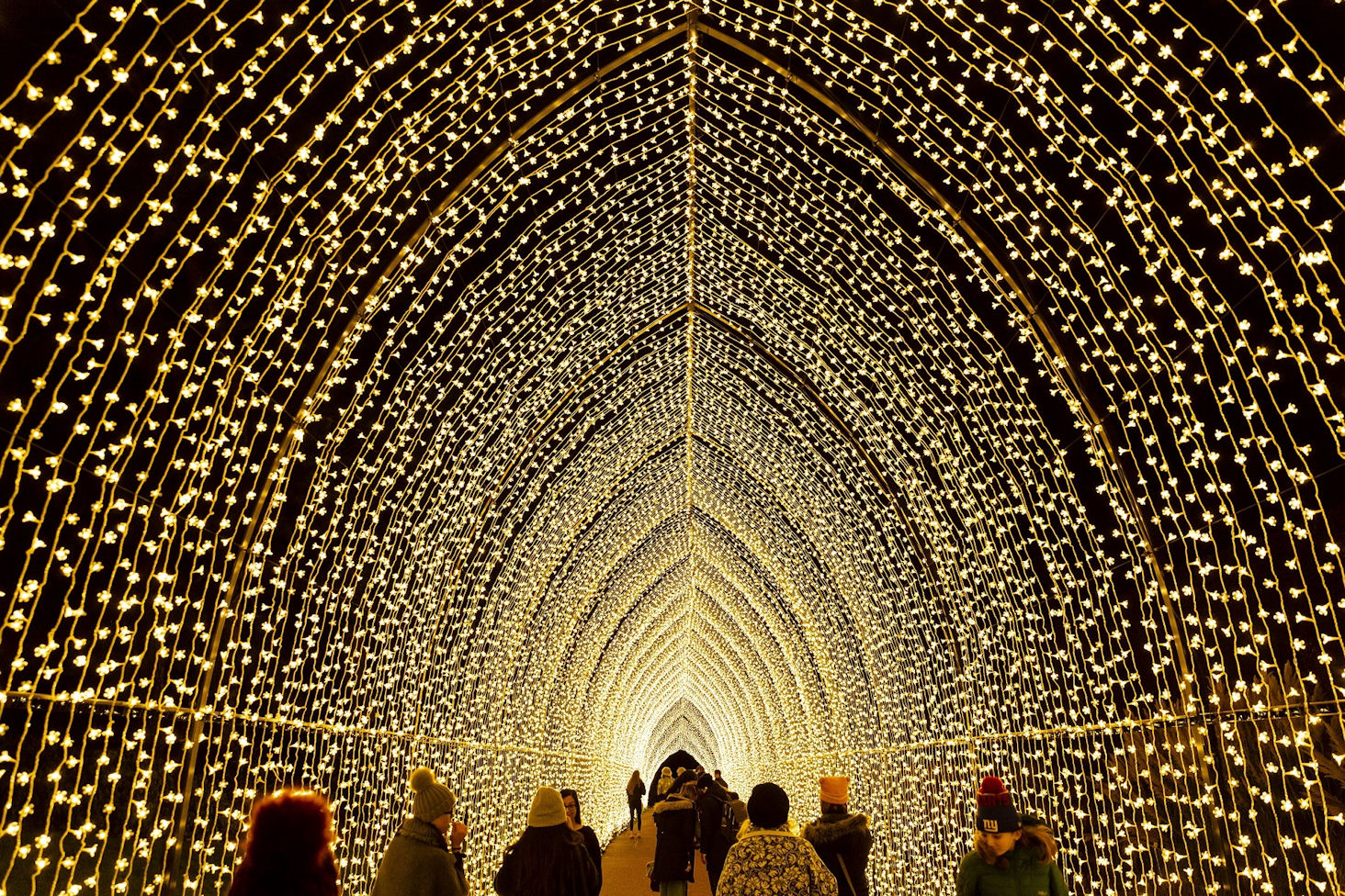 Winterzauber in Illinois: Licht-Festivals setzen Städte stimmungsvoll in Szene