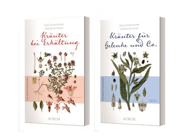 Kräuter bei Erkältung // Kräuter für Gelenke und Co.