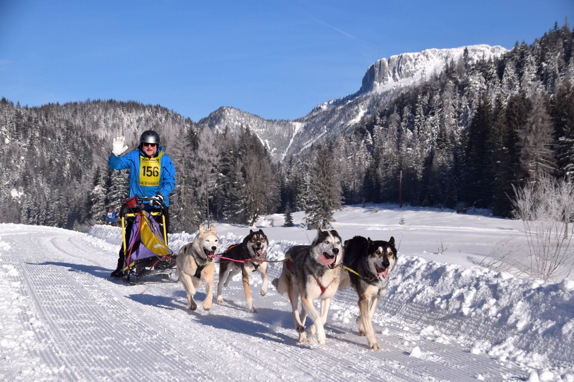 Größtes Schlittenhundecamp der Alpen im PillerseeTal