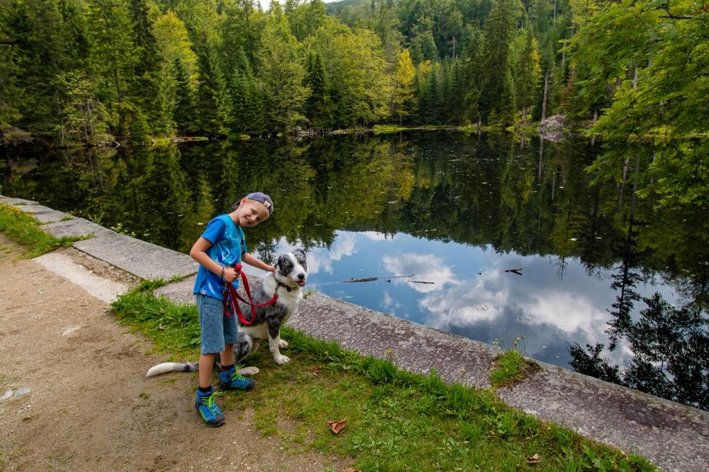 Tierisch gut verreisen: Mit dem Hund in die Ferienregion Nationalpark Bayerischer Wald