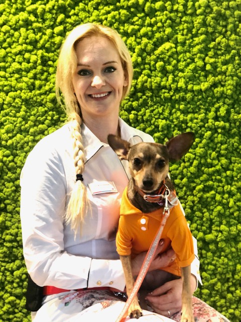DOC PEPPI – ERSTER THEARPIEHUND IN EINER ZAHNARZTPRAXIS