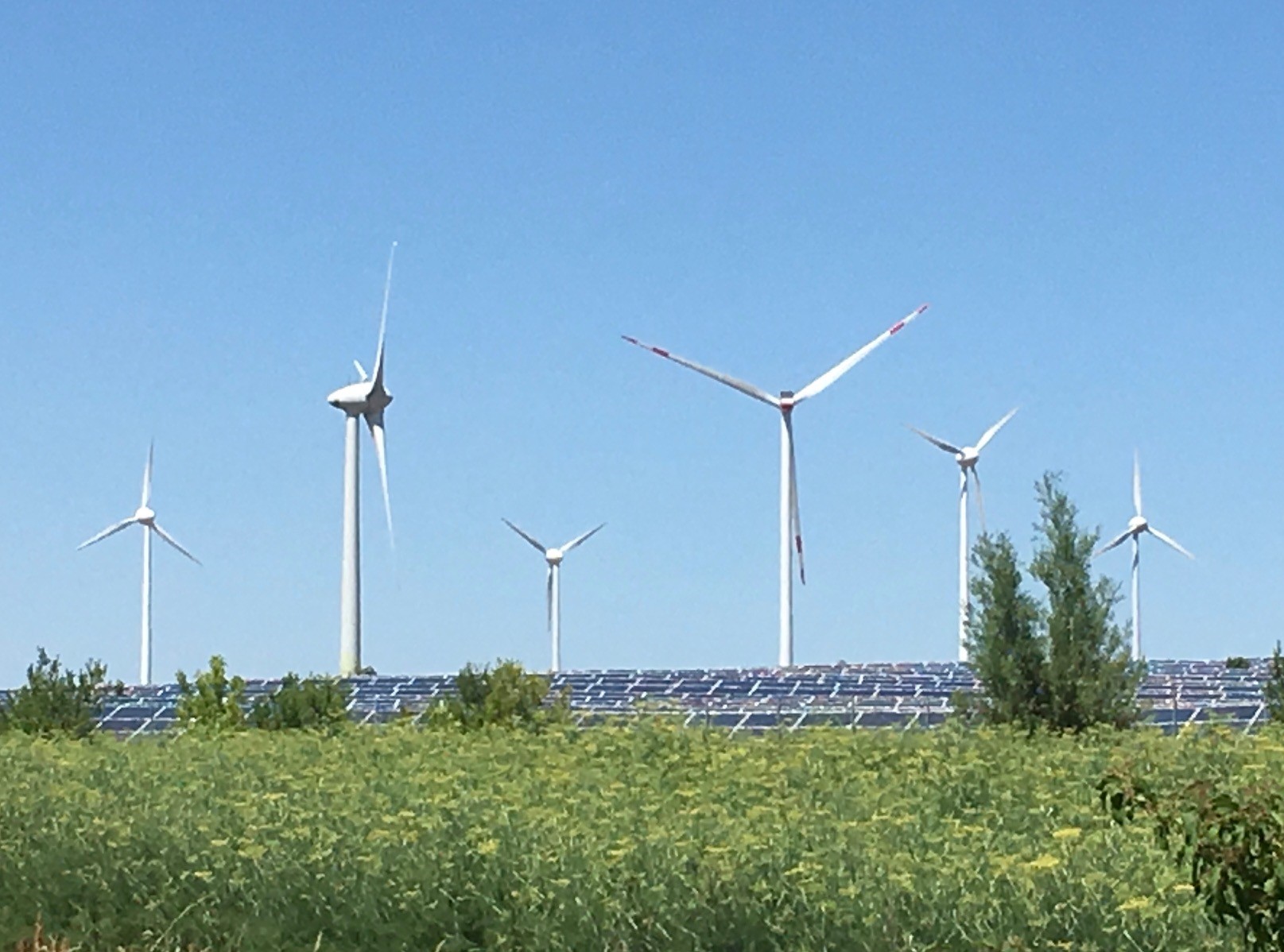 Windenergie muss deutsche Schlüsseltechnologie mit heimischer Produktion bleiben