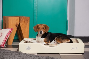 NEUHEIT – Kleine GEL-Hundebettchen