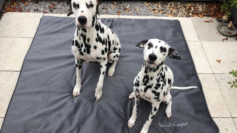 Antiallergische Hundedecken