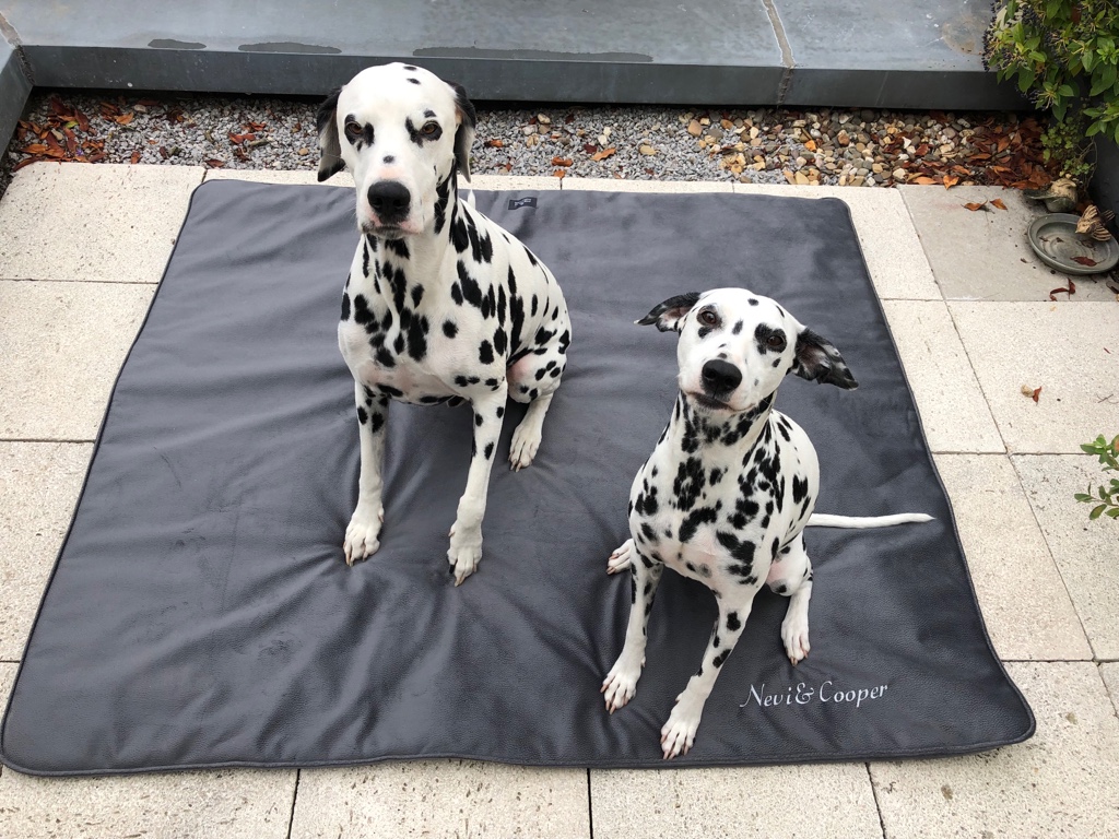Antiallergische Hundedecken
