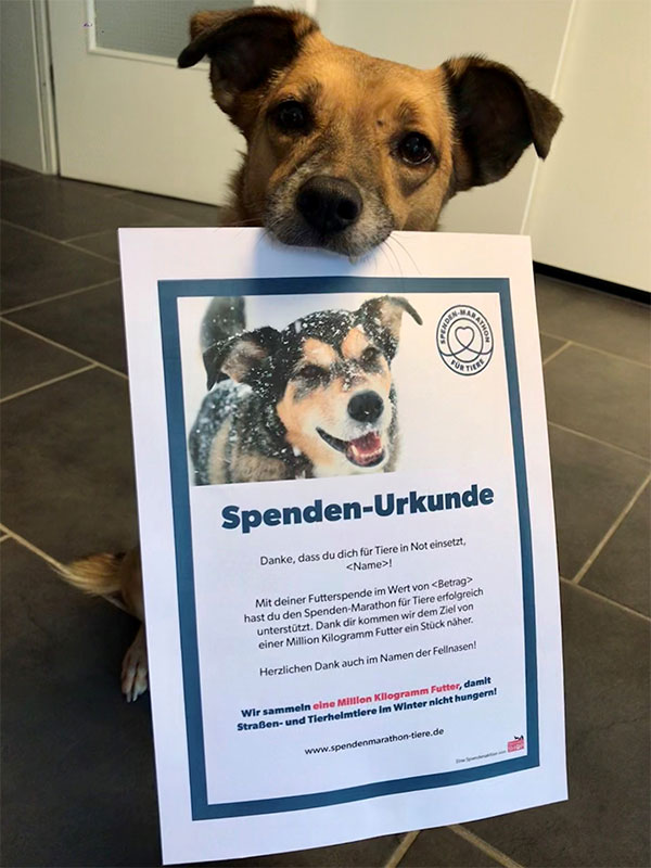 Noch 3 Wochen bis Heiligabend: Eine Futterspende schenkt Leben