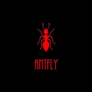 Über Antfly Webdesigner, die Web und New Media Initiative