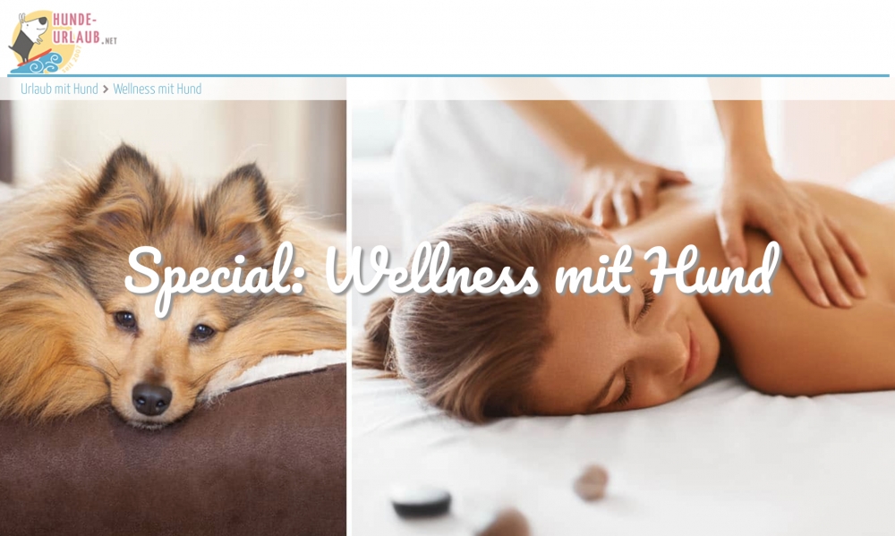 Wellness mit Hund: Verwöhnhotels auf hunde-urlaub.net