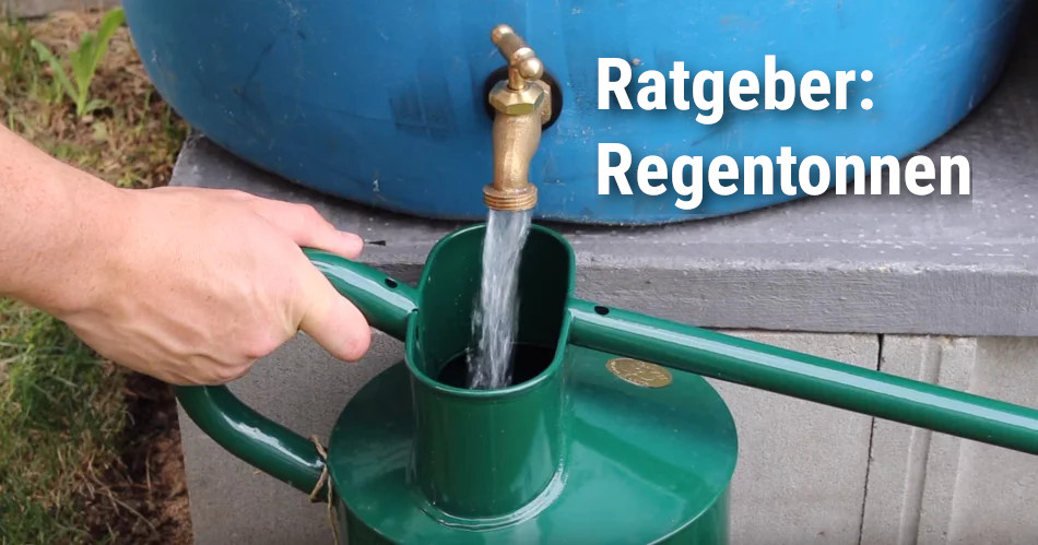 Ratgeber: Wichtige Tipps für die Regentonne in Ihrem Garten