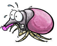 Justin Bieber und die Borreliose